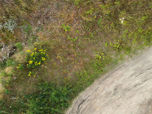 Rallyecross Groß Dölln – rx gross doellen ffb e e d